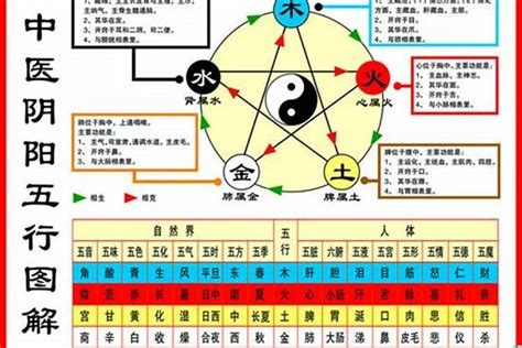 1984生肖五行|84年属鼠什么五行 84年属鼠的五行是属什么